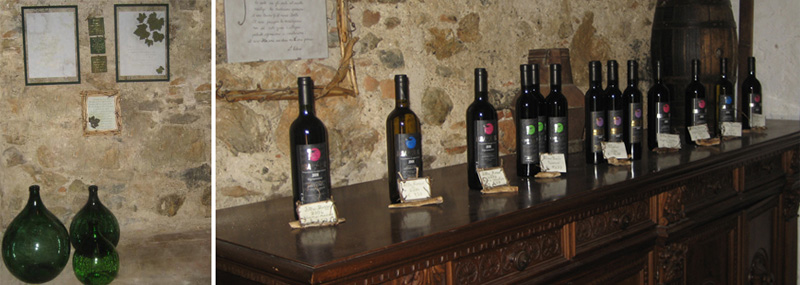 degustazione vini Elba